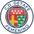 赫塔菲女足logo